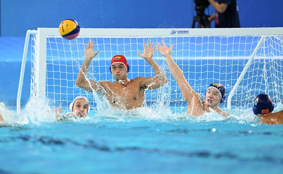 进行调整, data, Ag 进行调整, data, Ag